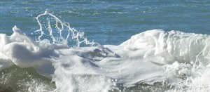 ... in der Weihnachtsbäckerei ...