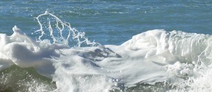 ... in der Weihnachtsbäckerei ...