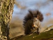 Noch bissl was "anfuttern",