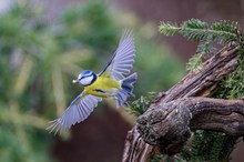 Eine schöne Spannweite