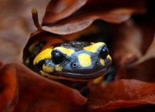 Einen schönen 2.ten Advent....