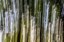 Wie ein Springbrunnen