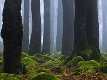 Fast wie im Märchen