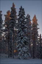 Ein Lichtlein brennt