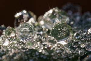 natürliche Weihnachtsdekoration