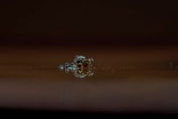 Kugelspringer im Morgentau