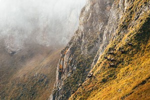 Gamsrudel in der Steilwand