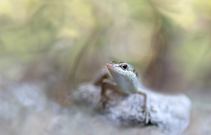 Neugierig ?... oder nur hungrig ??