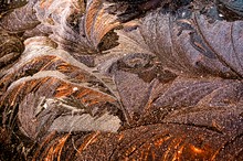 Vorweihnachtliche Eisblumen