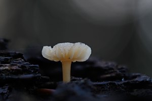 There`s  a light ,