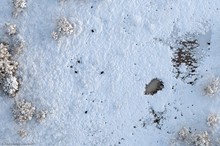 Novemberspaziergänge