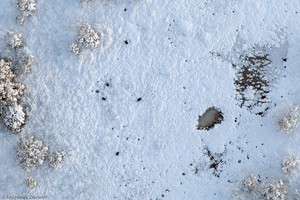 Novemberspaziergänge