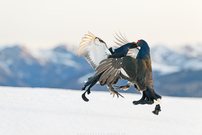 hitzige Tänze in eisiger Kälte