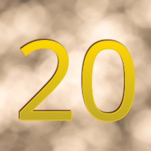 Fledermaus im Weihnachtsrausch: Wenn die Lichter tanzen!