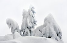 " Weihnachtswichtel "...,