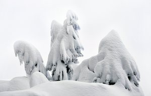 " Weihnachtswichtel "...,