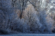 kein Schnee und doch eine kleine Welt in Weiß!