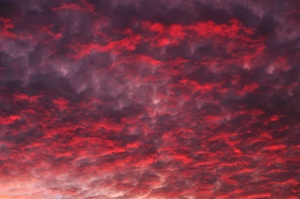 ~ Himmel in Flammen ~