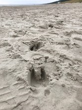 Spuren am Strand