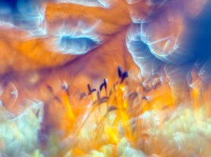 Einstein Rosen Brücke