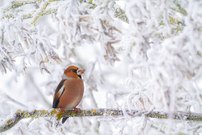 Überraschung vor dem Badfenster