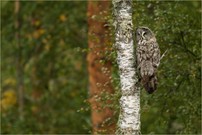 Meine Highlights 2025…