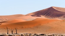 Die uralten Wächter des Deadvlei