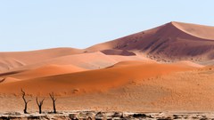 Die uralten Wächter des Deadvlei