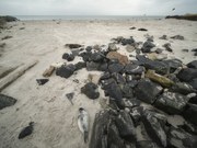 Die westliche Ecke des Nordstrands