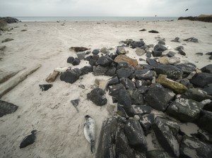 Die westliche Ecke des Nordstrands