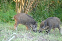 Da waren die Bäume noch grün