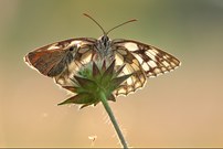 ein Highlight von 2025 ...