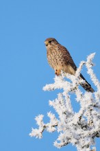 Einen optimistischen Blick auf 2026
