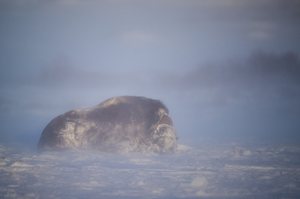 Da ist er, der Winter