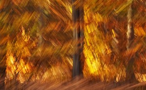 Auch ein Feuerwerk, wie ich es liebe.