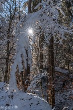 Frohes, gesundes neues Jahr!