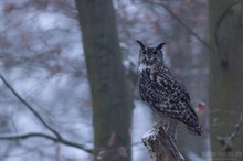 Ein Hauch von Winter