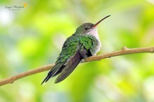 Die Freude war groß ...