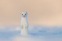 So schön kann Winter sein...