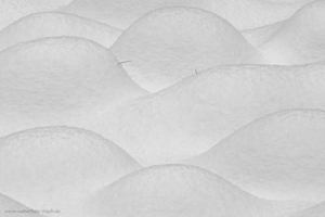 Berge und Täler 2026