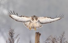 Das Ziel immer im Blick..