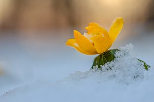 Bald könnte es wieder so aussehen!