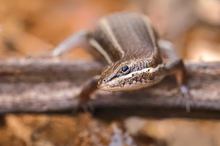 Ich sehe dich kleiner