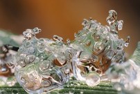 Anregung für die Vorstellungskraft