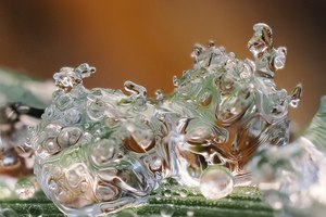 Anregung für die Vorstellungskraft