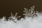 Schneeflocken