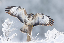 Der letzte Wintertag ?