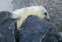 Was ist denn hinter dem nächsten Berg?