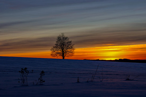 Wintersonnenuntergang