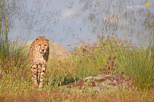 Dieser Augenblick ...